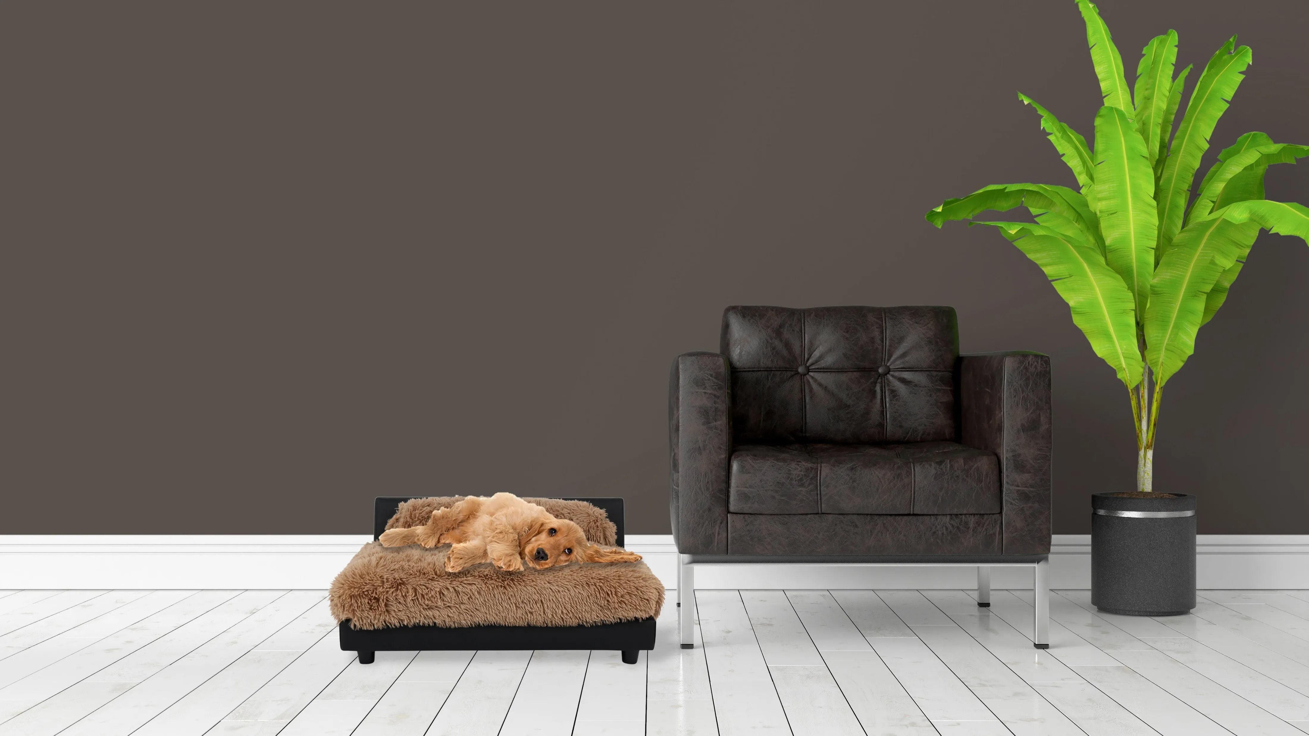 SOHO Raised Bed | Roma Fawn