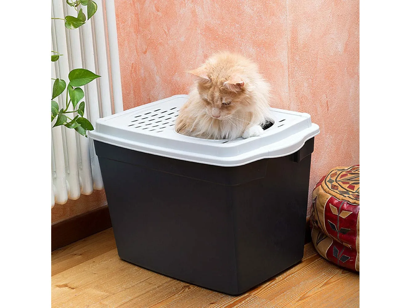 Toilet Home Jumpy