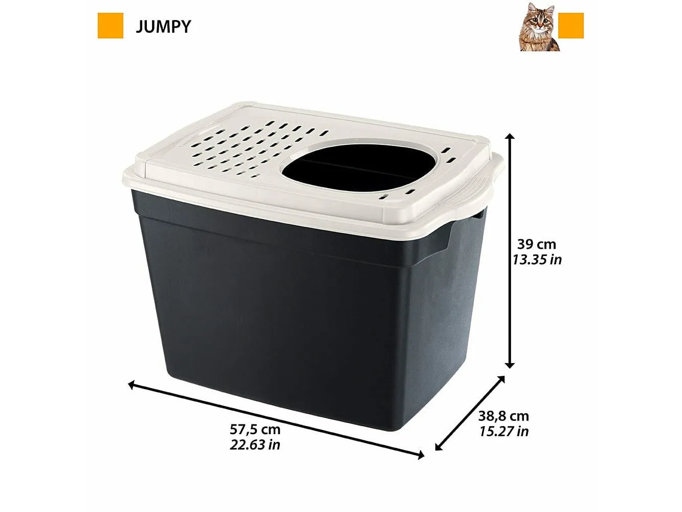 Toilet Home Jumpy