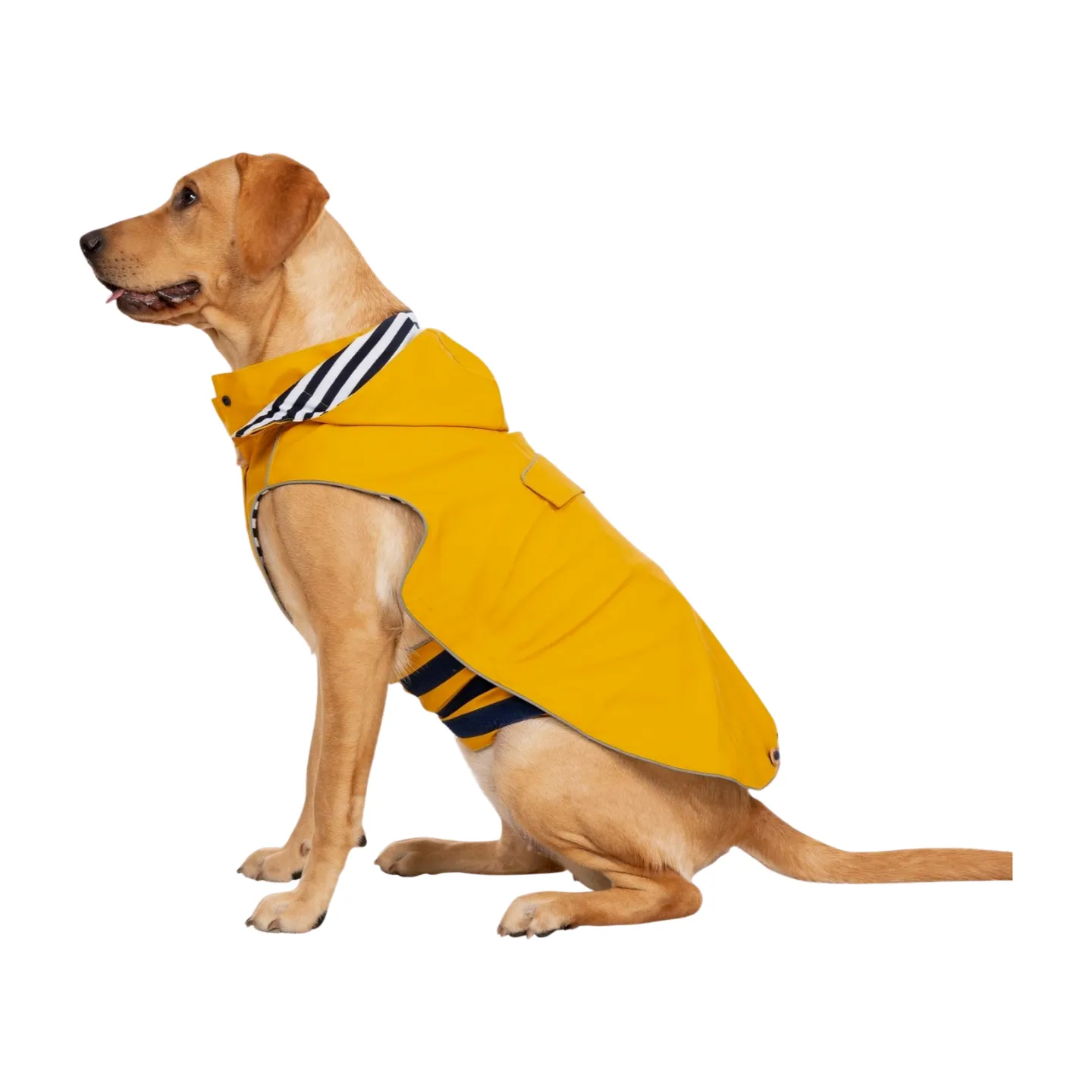 Trespaws Seadog Dog Raincoat
