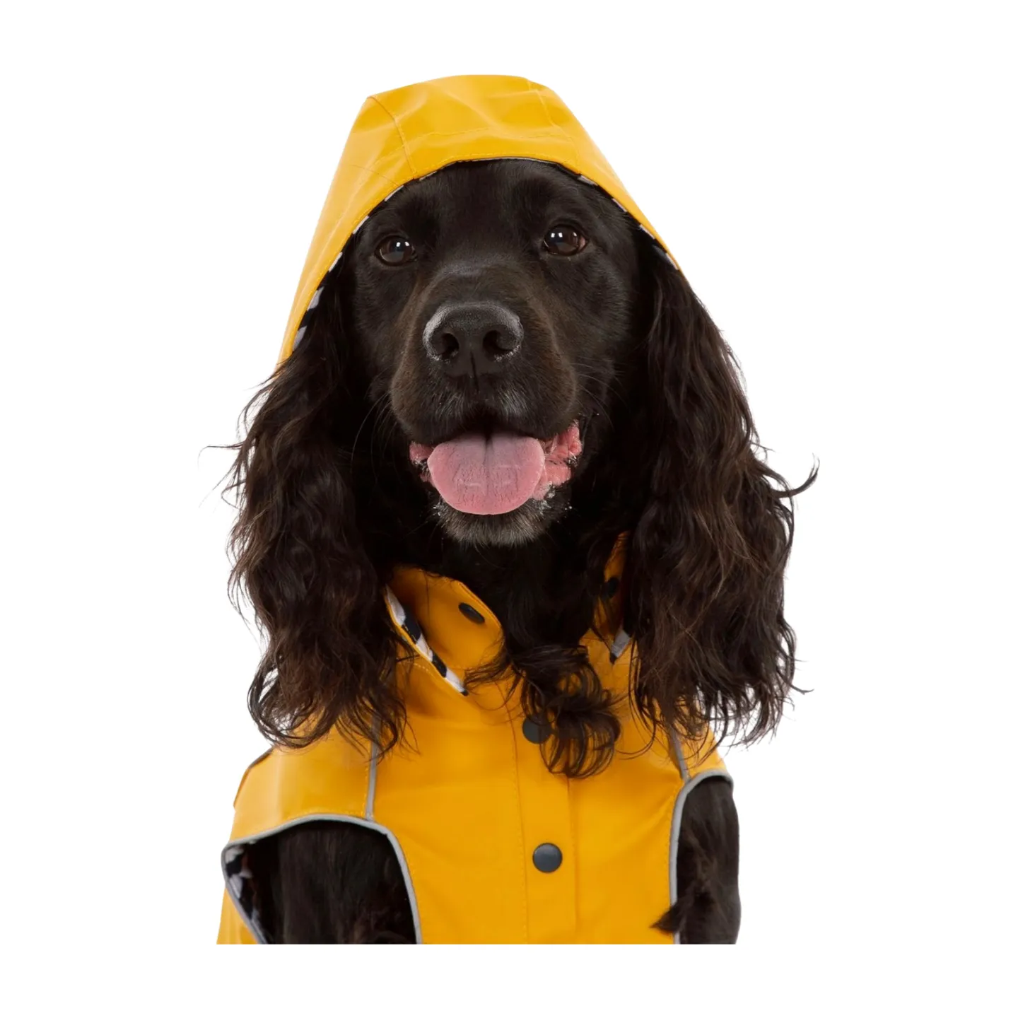 Trespaws Seadog Dog Raincoat