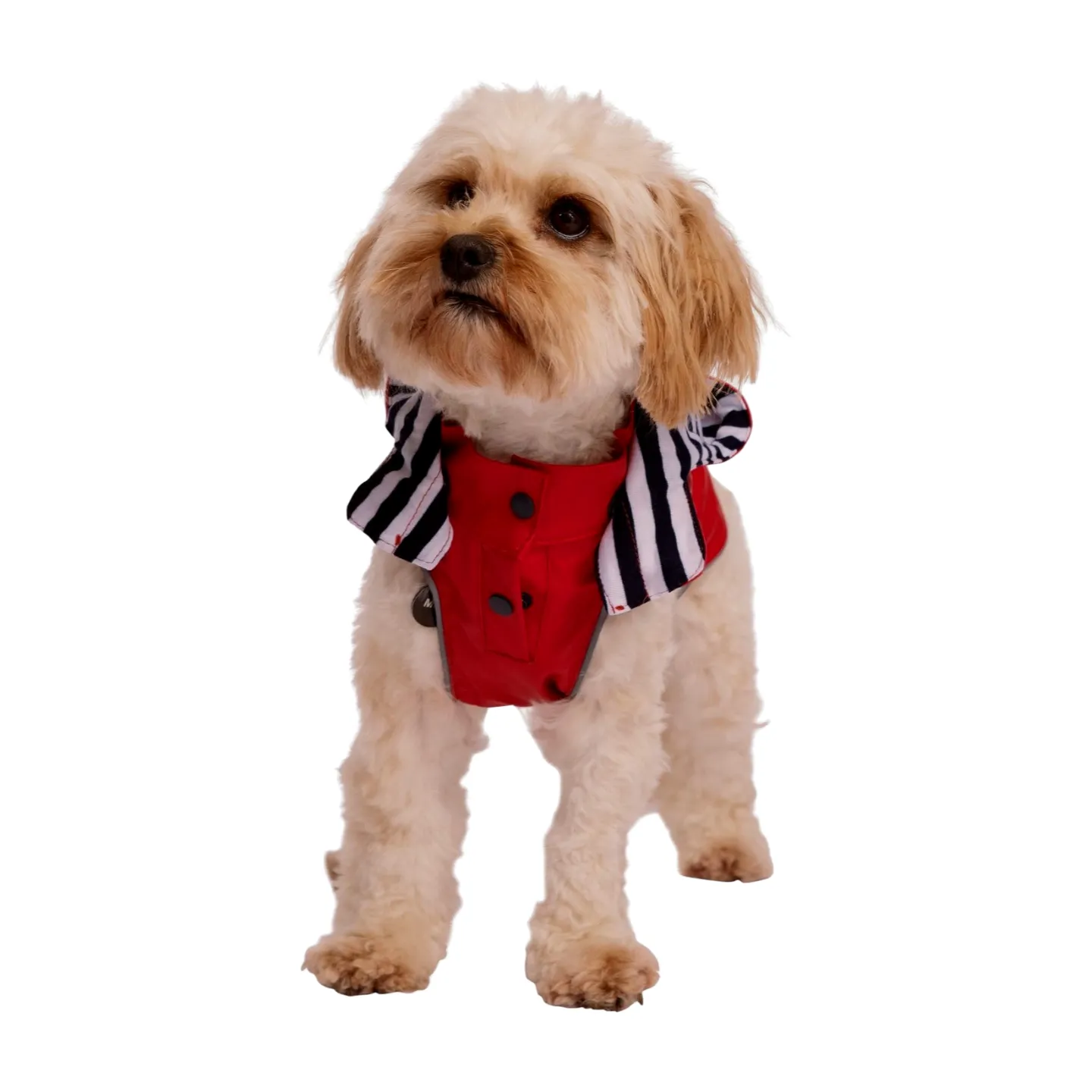 Trespaws Seadog Dog Raincoat
