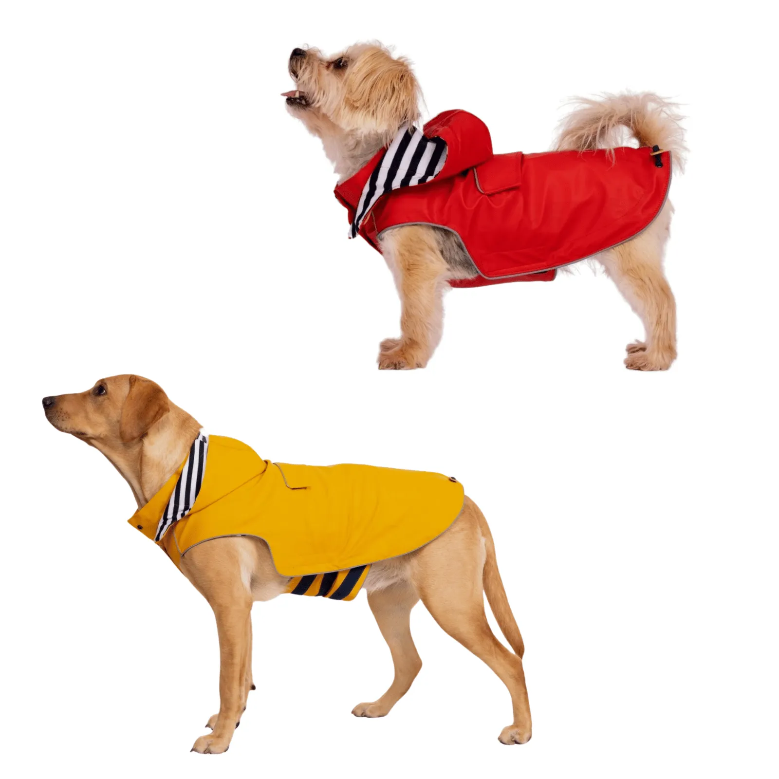 Trespaws Seadog Dog Raincoat