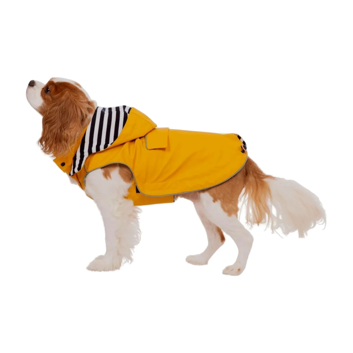 Trespaws Seadog Dog Raincoat