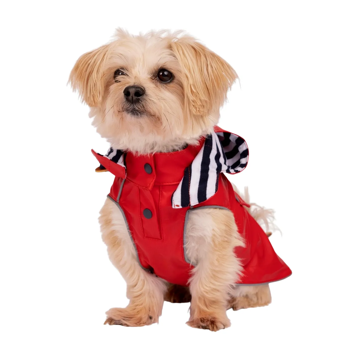 Trespaws Seadog Dog Raincoat