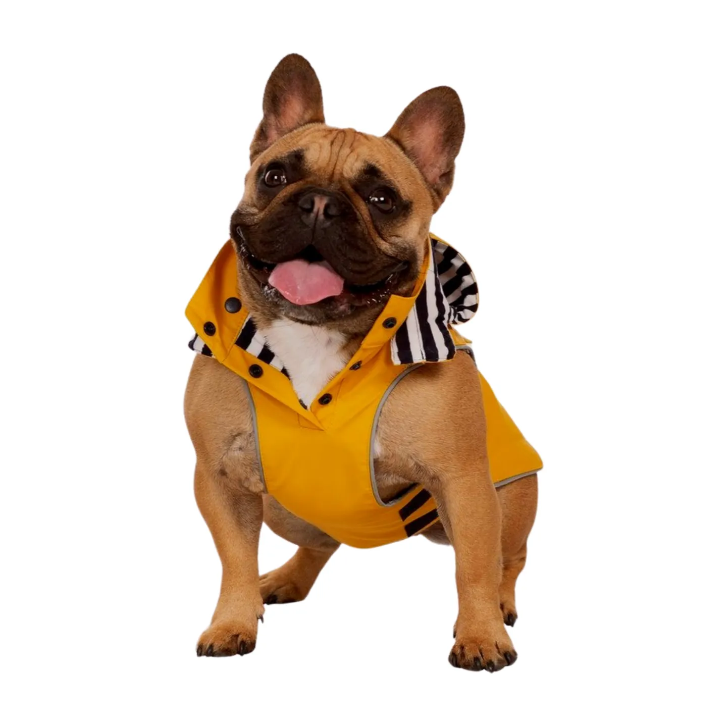 Trespaws Seadog Dog Raincoat