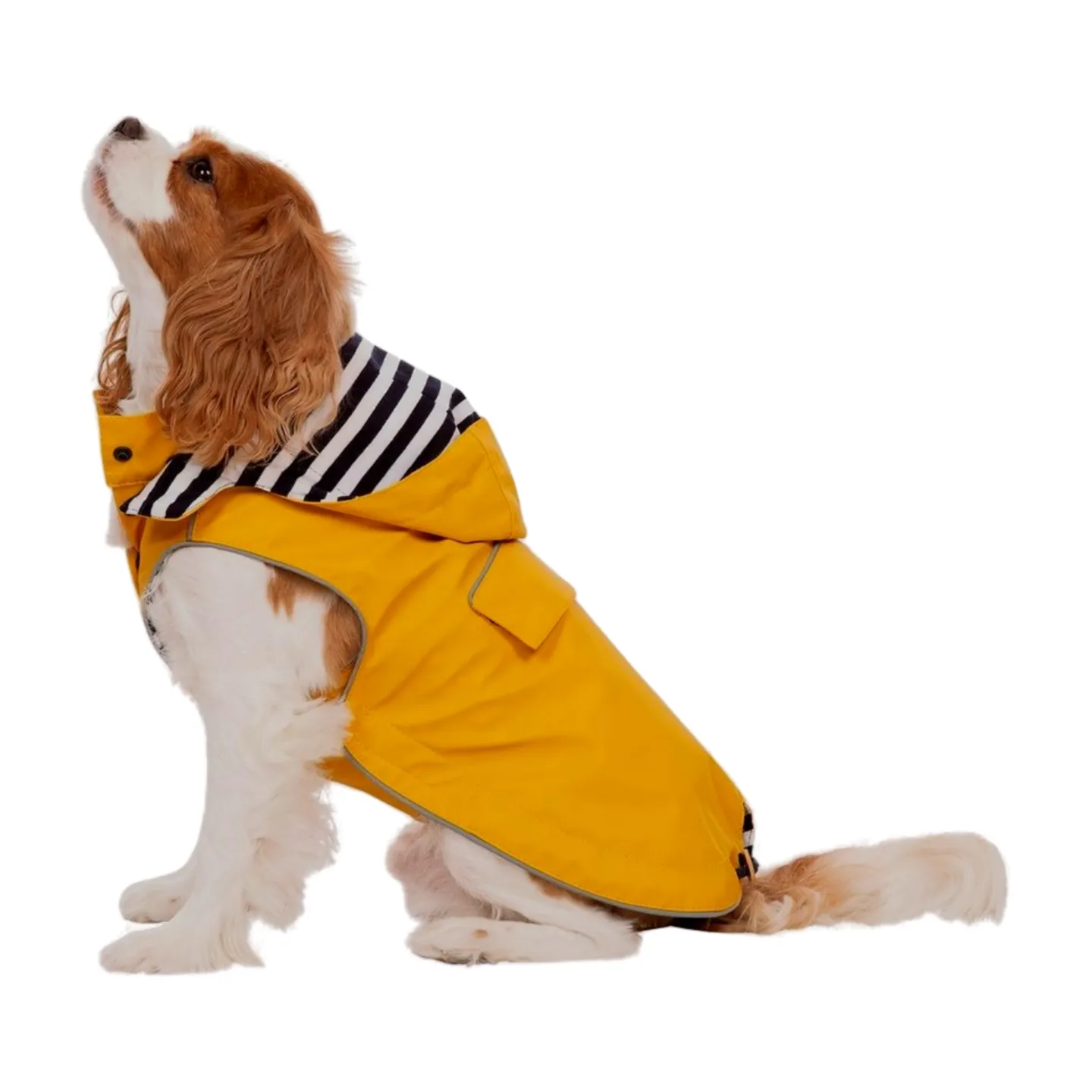 Trespaws Seadog Dog Raincoat