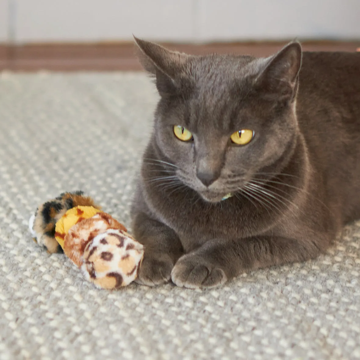 Velcro Worm with catnip and velcro balls
