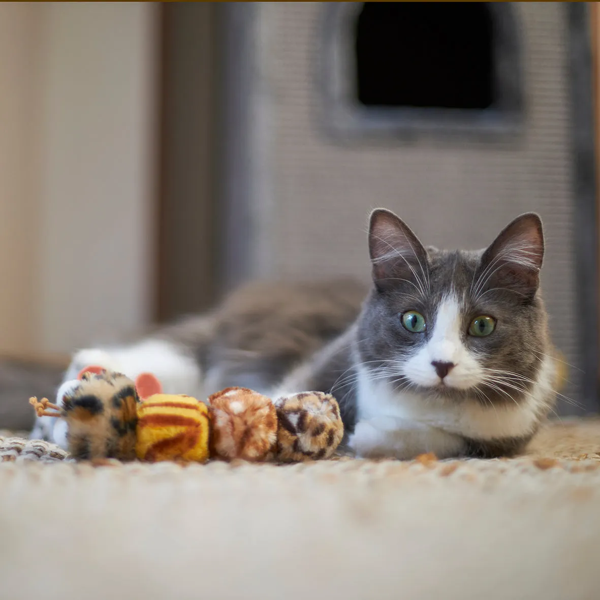 Velcro Worm with catnip and velcro balls