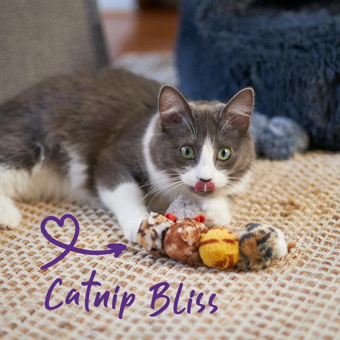 Velcro Worm with catnip and velcro balls