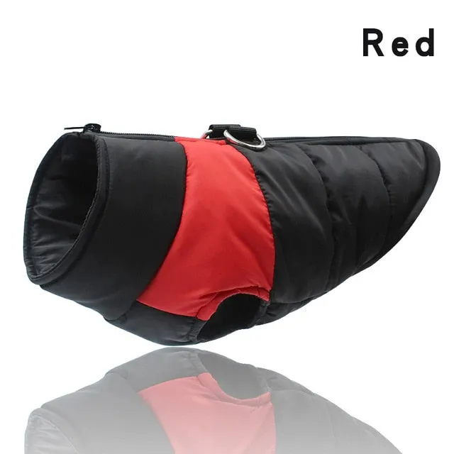 Waterproof Warm Dog Jacket for Winter