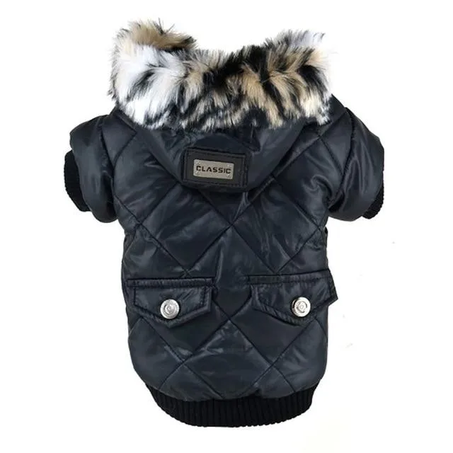 Winter Dog Coat with Hood - Waterproof