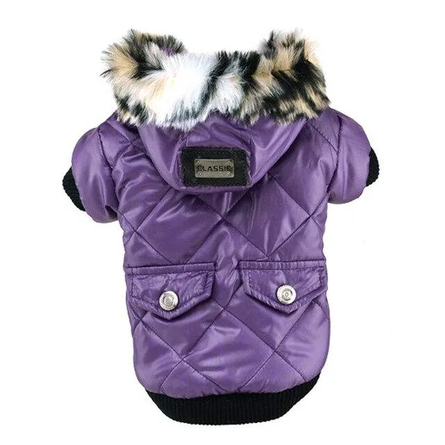 Winter Dog Coat with Hood - Waterproof