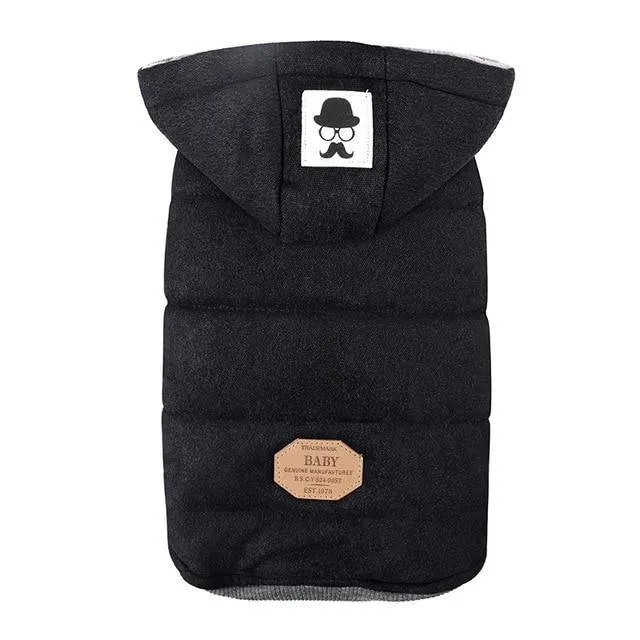 Winter Warmer Dog Jacket (Small Breeds)